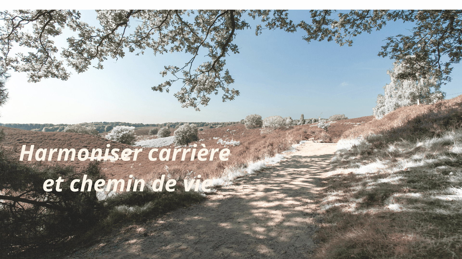 Cet accompagnement en astro-thérapie vous invite à mieux comprendre votre chemin de vie, vos aspirations profondes et votre fonctionnement intérieur afin de réconcilier votre vie professionnelle avec votre identité profonde.